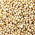 神戸アールティー イエローマスタード シード インド産 5kg 【1kg×5袋】