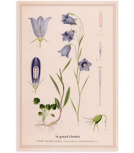 プラスメイト　ポストカード　リアルインセンティブ　クリスマス　榊木庵 プラスメイト ポストカード リアルインセンティブ 榊木庵 - メルカリ