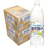 日本サンガリア 伊賀の強炭酸水レモン 1000ml ×24本(個)