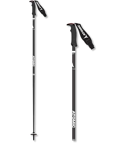 Amazon | LEKI カーボン14 3D 軽量カーボンスキーポール アルペン