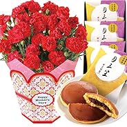 花のギフト社 母の日 カーネーション 文明堂 どら焼き 花とスイーツ 鉢花ギフト プレゼント 5号鉢