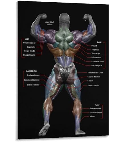 Amazon.co.jp: Jay Cutlerジェイ・カトラー ポスター Poster 筋肉男
