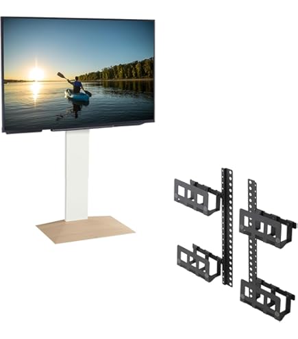 EQUALS WALL V3　コンパクト　ロータイプ美品ハードディスクホルダー Amazon.co.jp: EQUALS EQUALS WALL V3 Low Type Walnut Base +