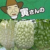 寅さんのアップルゴーヤ3号ポット3種セット（白秀・青秀・緑秀） ノーブランド品