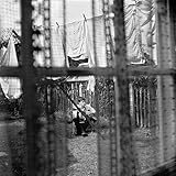 CHAOS AND CREATION IN THE BACKYARD [LP] (180 GRAM, REISSUE)[12 inch Analog]