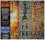 �f�X�g���C�E�C���C�Y�E�C���v���[�u