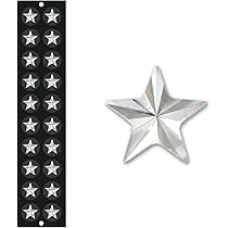 Amazon.co.jp: ル・ブリアン [耳つぼジュエリースター (星) 20粒