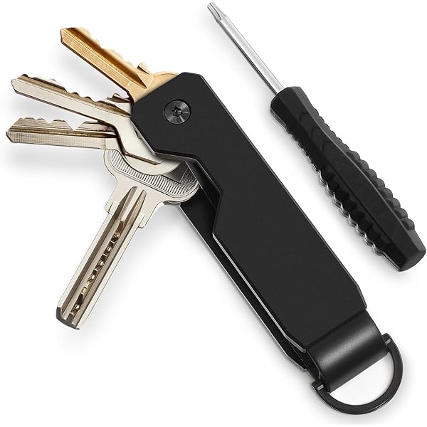 Amazon.co.jp: KeySmart Classic – コンパクトキーホルダー キー