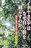 イタヤカエデはなぜ自ら幹を枯らすのか―樹木の個性と生き残り戦略