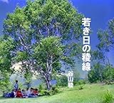若き日の稜線