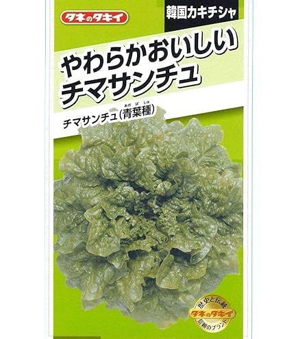 Amazon.co.jp: サカタのタネ 鮮やかやわらかサニーレタス「四季