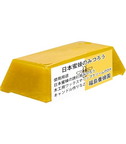 Amazon.co.jp: 蘭 キンリョウヘン（金稜辺）原種 赤花 花芽付き2芽