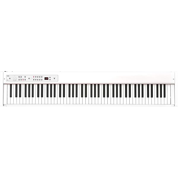 Amazon | KORG コルグ SV-2、SV-1、D1専用 木製キーボード・スタンド 