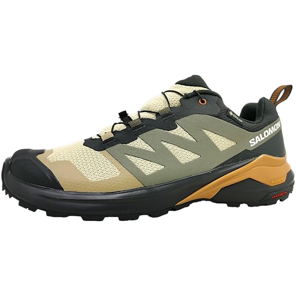 Amazon.co.jp: ▽サロモン（SALOMON）FOOTWEAR QUEST 4 GORE-TEX