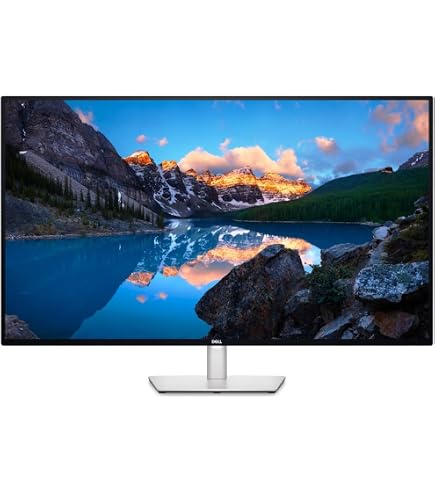 Dell UltraSharp U4021QW 40