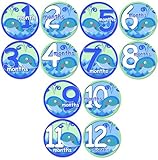 BABY WHALES Baby Month Onesie Stickers Baby Shower Gift Photo Shower Stickers, baby shower gift by O