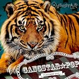 GANGSTAR POP Vintage Ver.