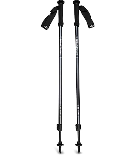 Amazon | Black Diamond Explorer 3トレッキングポール、ツンドラ