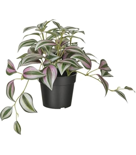 Amazon｜FEJKA フェイカ 人工観葉植物 - 室内/屋外用 ゴクラクチョウカ