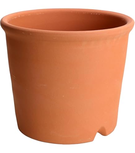 Amazon.co.jp: 鉢 三河焼 KANEYOSHI 【日本製/安心の国産品質】 陶器