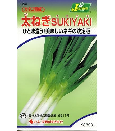 Amazon.co.jp: トキタ種苗 ネギ なべちゃんゴールド : DIY・工具・ガーデン