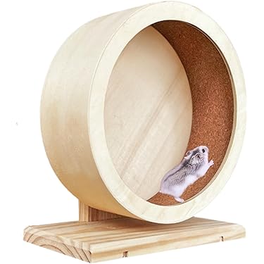 Amazon.co.jp 売れ筋ランキング: 小動物用回し車 の中で最も人気のある