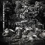 ���������̏ꏊ���ƁA�N�������c