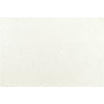 Amazon｜大黒工業 『業務用』 テーブルマット 銀龍 無地 31×45cm 100枚