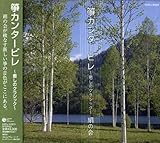 ⵃJ���^�[�r�� �`�����̃N���V�b�N�`