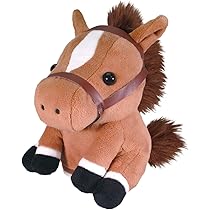 61ttRSrNx8L._AC_UL210_SR210,