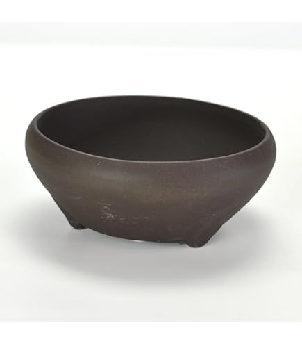 Amazon | 【盆栽鉢】 時代鉢 松泉焼 山秋造 紫泥角入長方（左右36.5cm