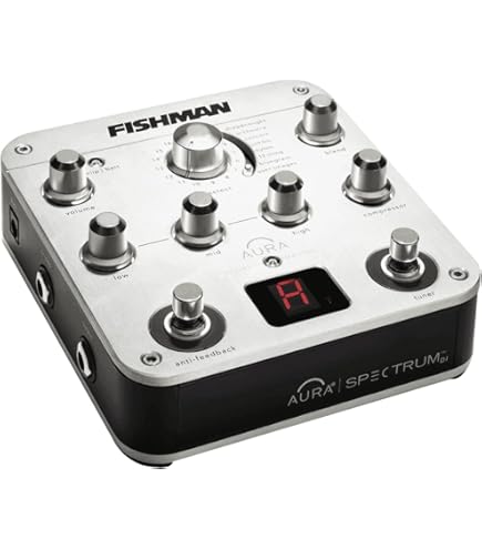 Amazon | L.R.BAGGS VENUE D.I. アコースティックギター用 プリアンプ