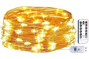LEDイルミネーションライト ジュエリーライト 100球 10m USB給電式 リモコン付 8パターン 点滅 点灯 タイマー機能 防水 防塵仕様 屋外 室内 ガーデンライト 正月 クリスマス ストリングライト 中庭 パーティー 木 祭りに飾り (ウォ