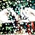 Plastic Tree「ムーンライト―――。(初回限定盤B)」