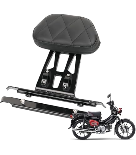 Amazon | スペシャルパーツ武川(TAKEGAWA) ピリオンシート＆バック