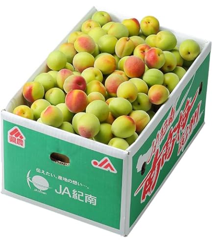 Amazon.co.jp: 和歌山県産 南高梅(青梅）約10kg (訳あり（サイズ不揃い