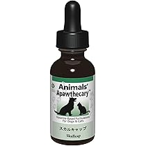 Amazon | ノラ・コーポレーション スカルキャップ | ノラ