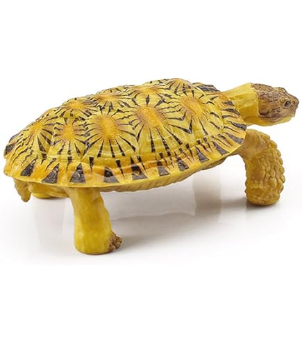 Amazon | BACALYSO | 動物惑星 3.0 カメ 亀 ガチャガチャ ブラインド