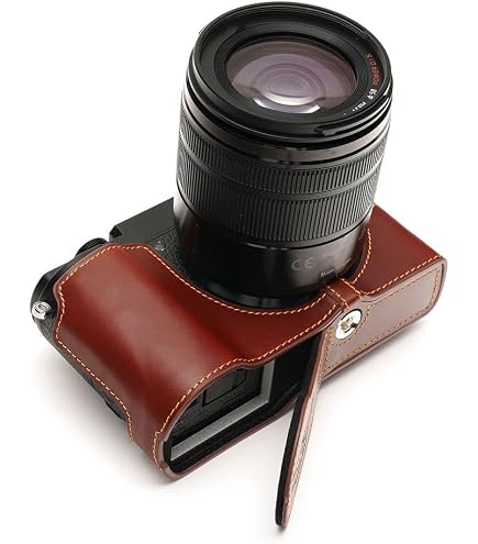 Amazon | パナソニック(Panasonic) DMW-BCSK6-K LUMIX ボディケース