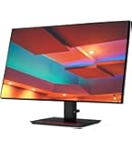 EIZO RadiForce RX440 液晶モニタ29.8 使用时间5300H rx440-2_e0cd1a6c-f834-4afc-