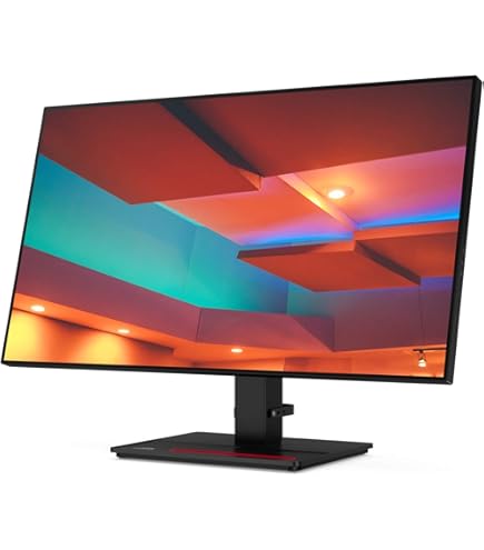 Amazon.co.jp: 【整備済み品】EIZO RadiForce RX440 29.8
