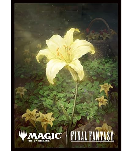 Amazon.co.jp: マジック：ザ・ギャザリング プレイヤーズカード