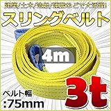 スリングベルト 幅75mm 使用荷重3t ベルトスリング 繊維ベルト 吊りベルト クレーンベルト 帯ベルト 吊り上げ 作業用 屋外 建設機械 船舶 運搬作業 ポリエステル素材 土木 農林業 造船 (4