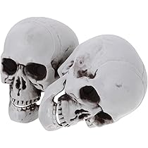 精巧作り リアル ドクロ 髑髏 根付 オブジェ 材質不明/ 現状渡し スカル ドクロ 置物 ガイコツ 海賊 ハロウィン 骸骨 髑髏 頭蓋骨