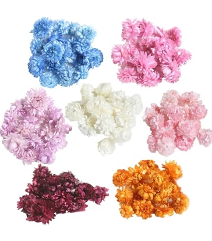 ドライフラワー花材セット。:°ஐ..♡*ヘリクリサム♡♡ Amazon | 大地農園！ドライフラワー 5g分 「ヘリクリサム