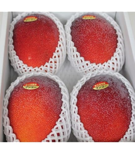 Amazon.co.jp: 最高級 台湾アップルマンゴー 5kg（約8－14玉）2026