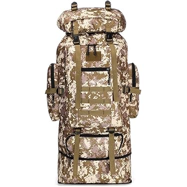 Amazon.co.jp 最新リリース: インターナルフレームキャンプ