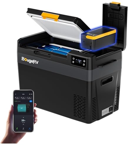 Amazon.co.jp: 【リン酸鉄バッテリー内蔵可能・専用バッテリー 1 個