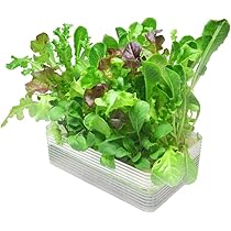 GHウォーターファーム 水耕栽培キット 液肥セット 未使用 水耕栽培キットのWater Farm（ウォーターファーム）の使い方と