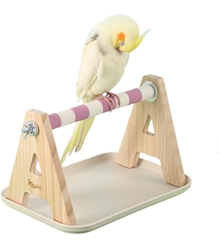 Amazon | インコ 遊び場 鳥 プレイグラウンド 遊園地 鳥スタンド